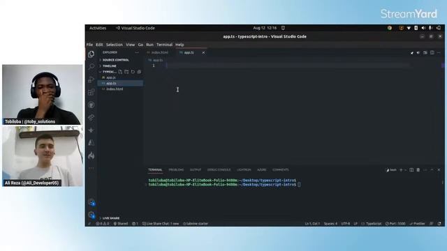 Collaboration: What Is Typescript?