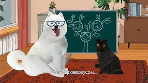 Московские колледжи | Кот Бублик