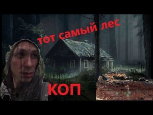 ТОТ САМЫЙ СТРАШНЫЙ ЛЕС | ТАК МНОГО МЫ ЕЩЕ НЕ КОПАЛИ | КОП ЗИМОЙ | @poiskovik_md