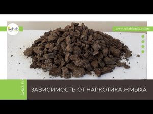 Жмых | Способы употребления | Признаки зависимости | Стадии | Передозировка | Диагностика | Лечение