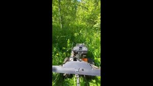 Ездил на мотоблоке по полям, лесам, зарослям, где нет никаких дорог.