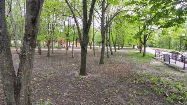 Город-сказка. город-мечта. Прогулка по Белгороду.