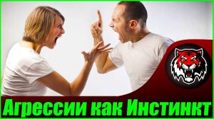 О домашнем насилии и естественной человеческой агрессии