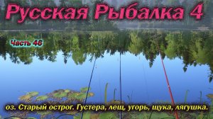 Русская рыбалка 4. часть  46. оз. Старый острог. Густера, лещ, угорь, щука, лягушка.