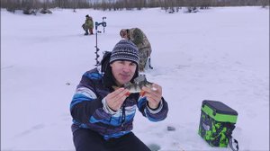 Окунёвый карьер