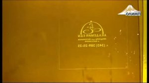 Шелкография (трафаретная печать)