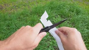 10 ЛУЧШИХ НАЖИВОК для ЛОВЛИ СОМА