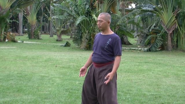 Link2 提襠吐納呼吸功法示範 смотреть онлайн