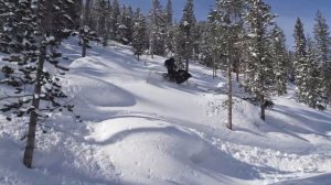 Snowhawk in Utah powder snow hawk 600