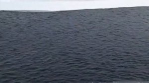 Роторные (импеллерные) аэраторы с редуктором и рабочим колесом большого диаметра