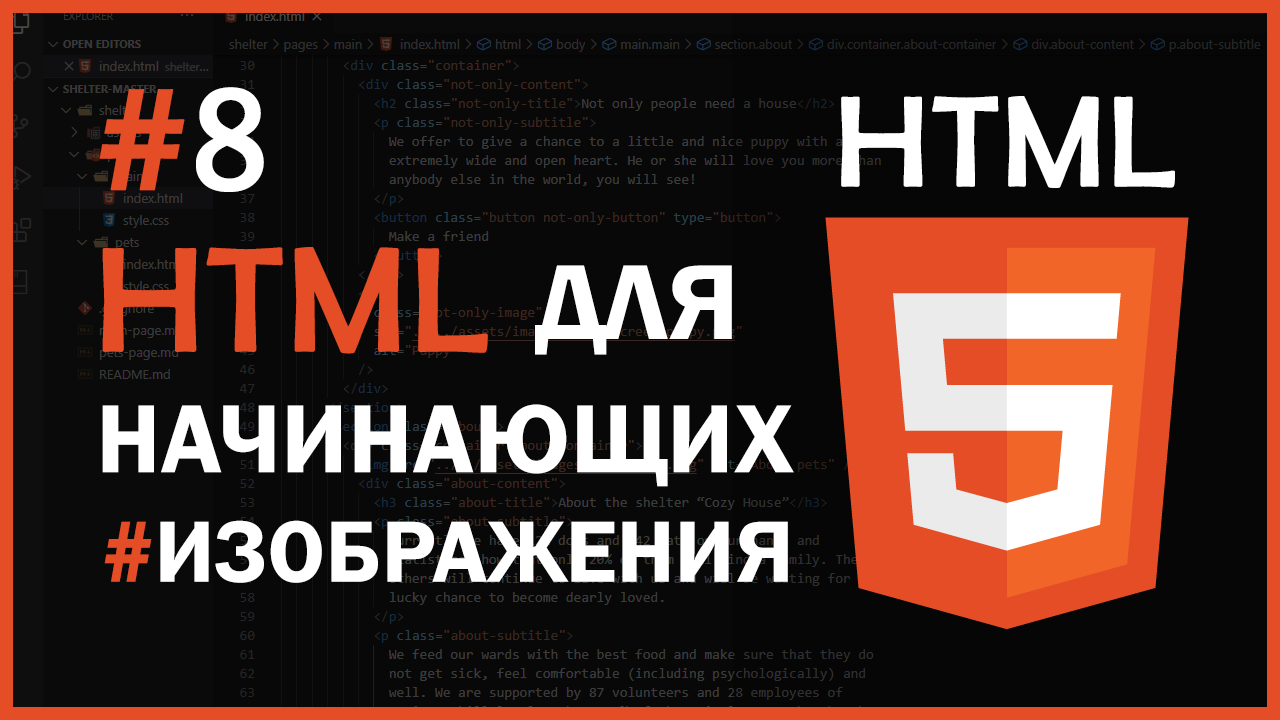 HTML для начинающих   #8 - Отображение изображений в HTML