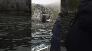 Рыбалка Магадан!!! Море 5