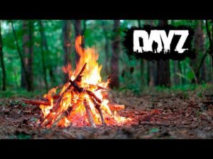 Dayz Standalone - как разжечь костер без спичек