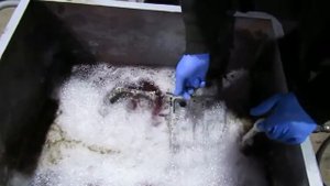 Ванна для мойки деталей ДВС