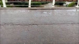 Циклон в Амурской  области  Михайловского  района.  Поярково.    21- 22.  07. 2019 г.