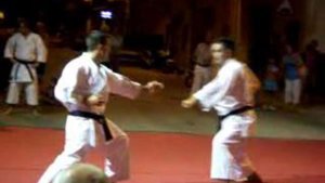 КАРАТЭ (ЯКУСОКУ КУМИТЭ)