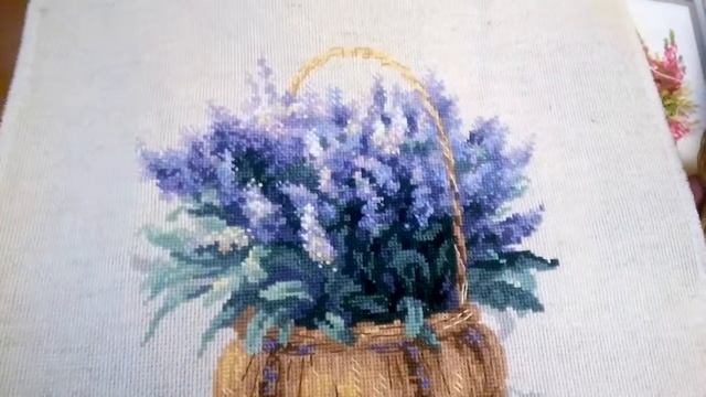 Шотландский вереск от Риолис. Начало и отчёт 1 смотреть онлайн