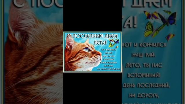 Пока лето ? до следующего года #лето2023 #популярное