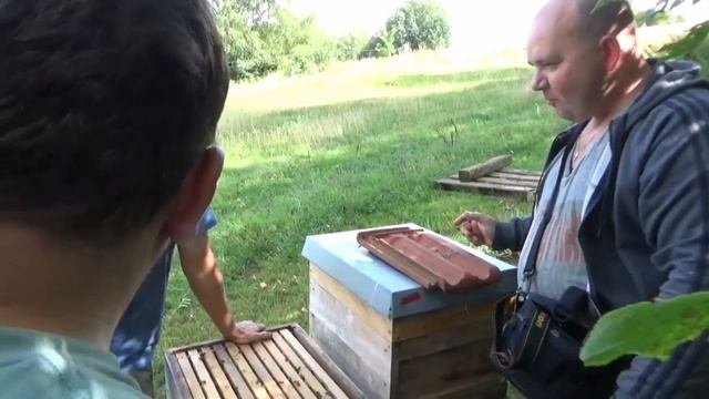 Пчеловодство в  Германии.Селекционер карники Флориан Шмидт.