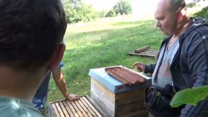 Пчеловодство в Германии.Селекционер карники Флориан Шмидт.