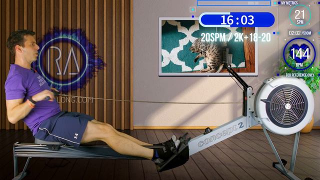 Indoor Rowing Workout - 32 min Fitness and Technique - Standalone or W3S3 of 2K Redux Plan - Cats смотреть онлайн