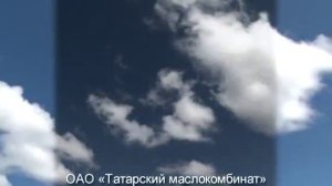 НОВОСИБИРСКАЯ ОБЛАСТЬ   Татарский район