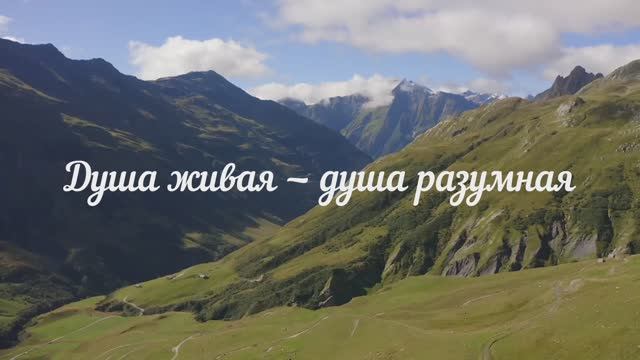 Душа живая - душа разумная смотреть онлайн