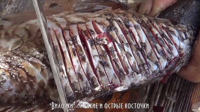 Как приготовить карася, без мелких костей, как посечь карася, показал дядя Толя