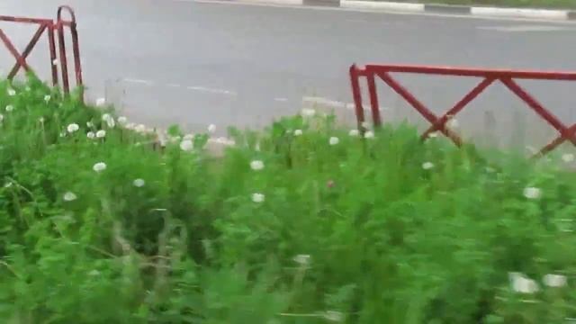 Бидон ломает заборы вдоль дорог #ярославль