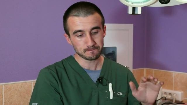 Стерилизация животных. ЗА и ПРОТИВ. Мнение Айболит Плюс