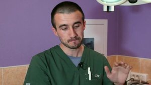 Стерилизация животных. ЗА и ПРОТИВ. Мнение Айболит Плюс