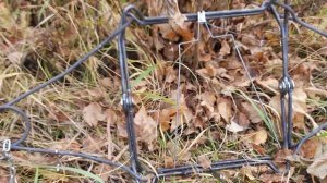 Проверка капканов на бобра. Эксперимент с морковью.