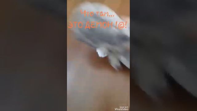 Для детей сказка взрослым не смотреть... смотреть онлайн