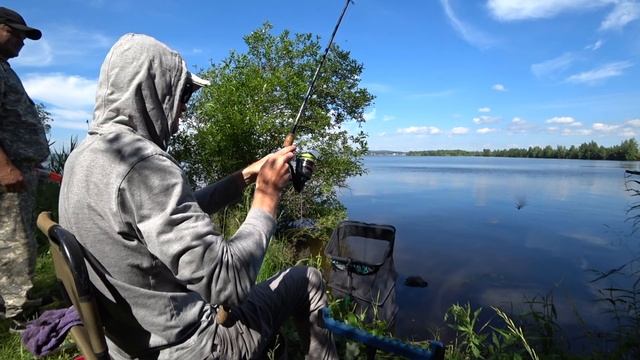 Рыбалка | ТАКУЮ РЫБУ Я ЕЩЕ НЕ ВИДЕЛ!!! Ловля на Фидер в озере. смотреть онлайн
