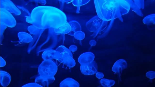 Как Благодарность  влияет на Вашу жизнь.. СИЛА БЛАГОДАРНОСТИ.