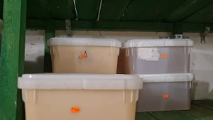Тамбовский мёд. Фасовка по 14 кг меда  в пластиковый 12 л куботейнер.