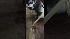 полная замена тормозной жидкости BMW X5 E70 3.0D LCI #bmw #x5  #e70