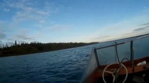 В гостях у Миши на Вальке Руся на Пясино хомячит бутер с икрой проход по Талой