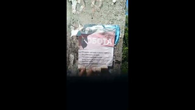 Искупление грехов коллекторов! смотреть онлайн