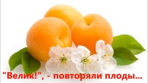 Велик наш Творец и наш Бог