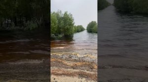Здесь рыбы нет)