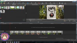 Практикум по работе в видеоредакторе Video Pad
