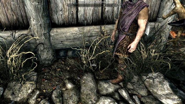 Что случилось со оленем? Прохождение скайрима на легенде путь голоса. смотреть онлайн