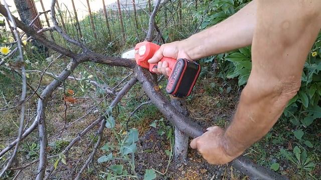 Аккумуляторная пила - отличный помощник ! смотреть онлайн