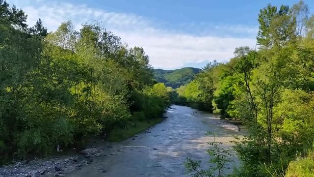 Звуки утреннего леса и пение птиц помогут расслабиться и снять нервный стресс