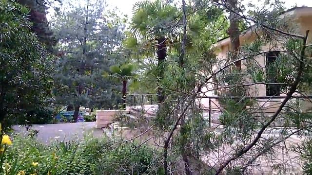 Ривьера Сочи ирис желтый любит воду смотреть онлайн