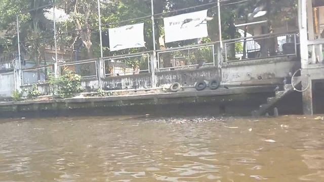 Бангкок. Прогулка на лодке. Тайланд 2016 смотреть онлайн