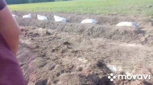 Закладываем клубничное поле 1.5га. Бугры под клубнику своими руками.