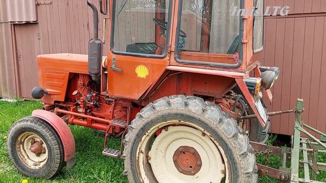 Т-25 на окучивании картошки, тырим борону. смотреть онлайн