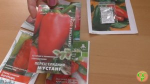 Перцу быть! Сорта и гибриды перца для выращивания в 2018г.